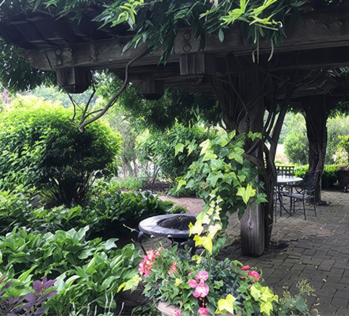 Pergola garden with seasonal flowers and seating on the museum grounds